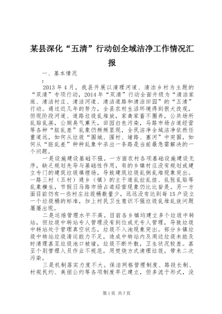 某县深化“五清”行动创全域洁净工作情况汇报