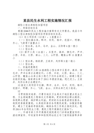 某县民生水利工程实施情况汇报