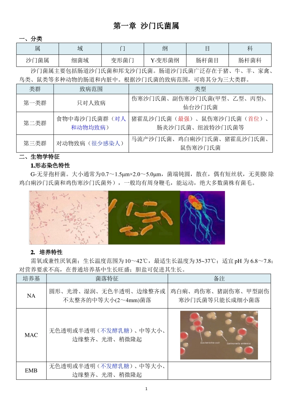 肠道病原菌——沙门氏菌属_第1页