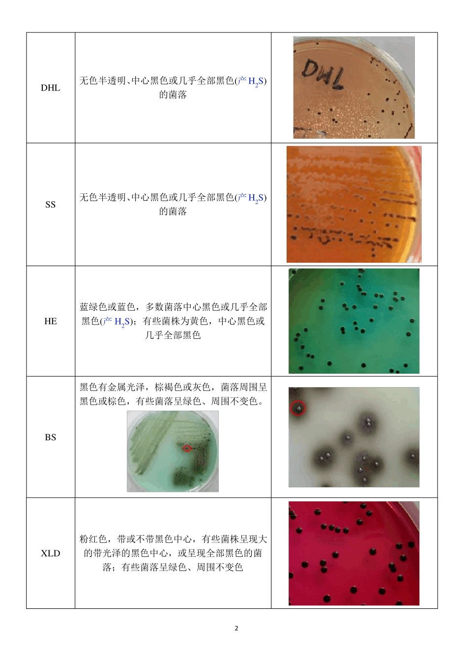 肠道病原菌——沙门氏菌属_第2页