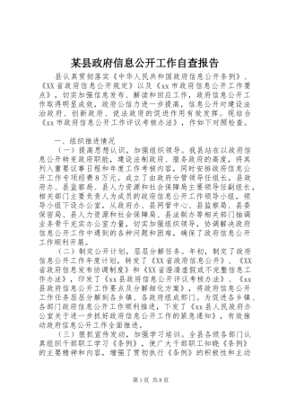 某县政府信息公开工作自查报告