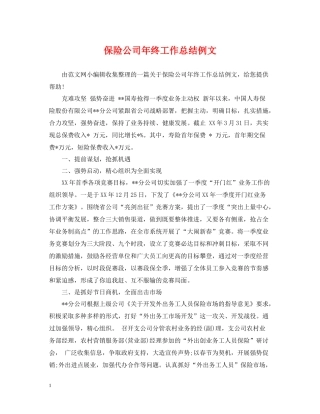 保险公司年终工作总结例文