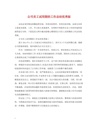 公司员工试用期的工作总结优秀版