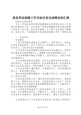 某县劳动保障工作目标任务完成情况的汇报
