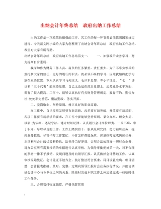 出纳会计年终总结　政府出纳工作总结