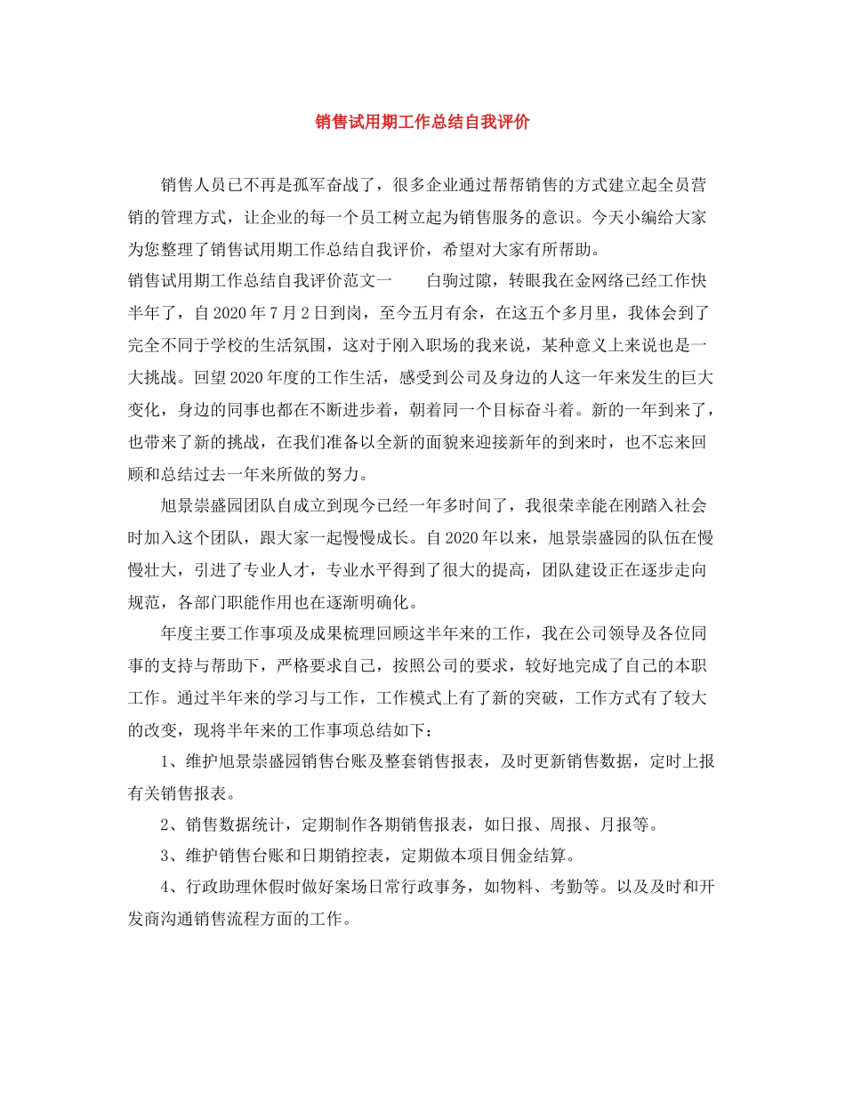 销售试用期工作总结自我评价_第1页