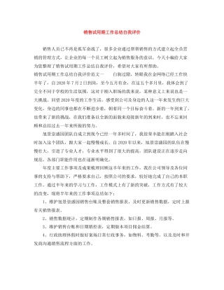 销售试用期工作总结自我评价