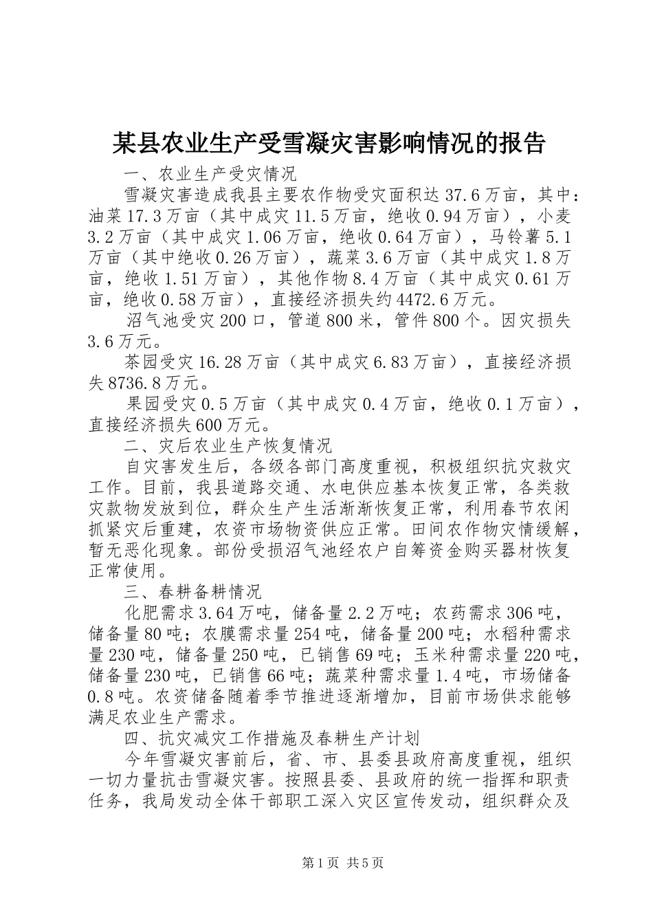 某县农业生产受雪凝灾害影响情况的报告_第1页