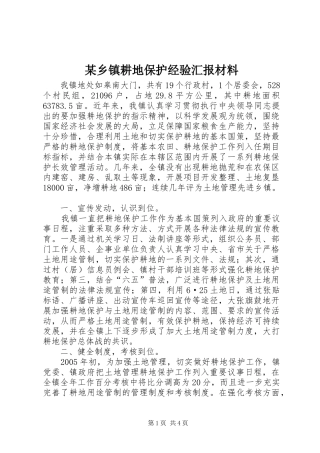 某乡镇耕地保护经验汇报材料
