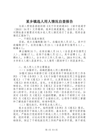 某乡镇选人用人情况自查报告