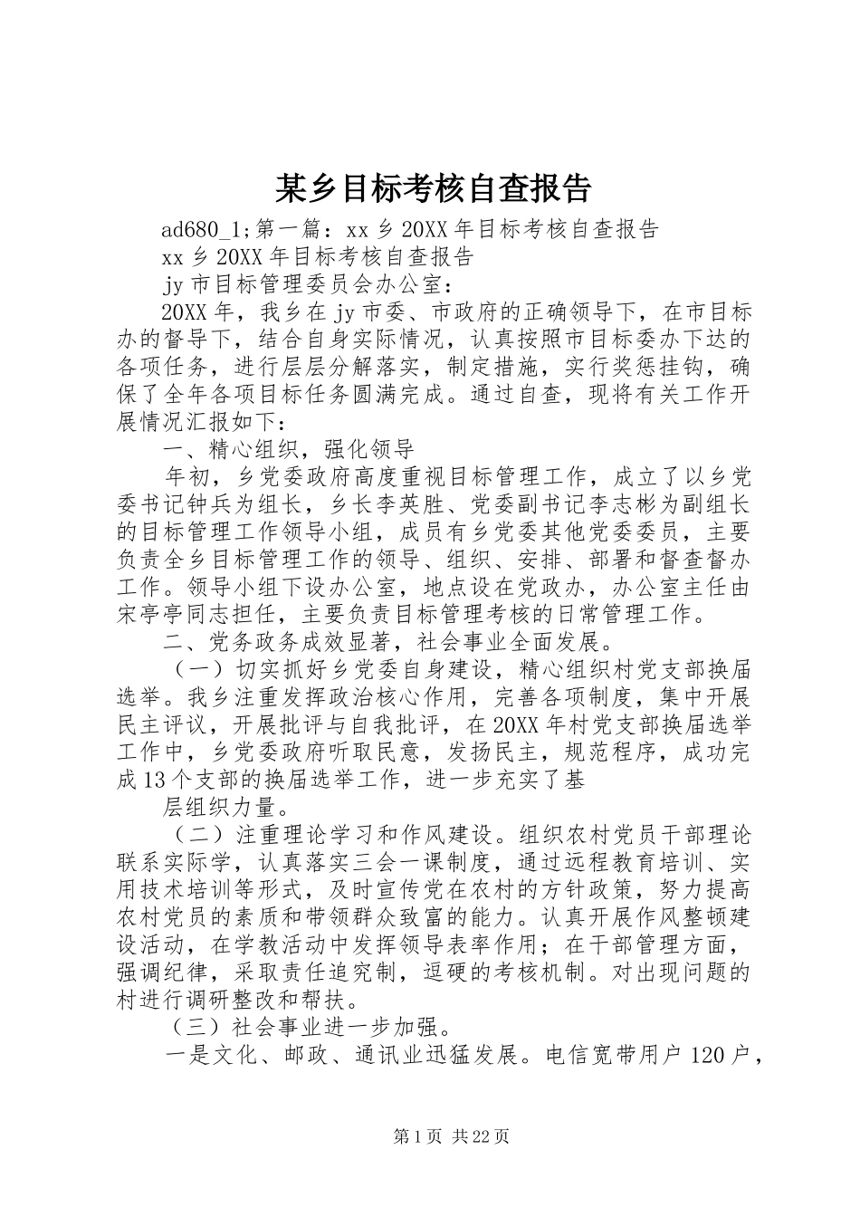 某乡目标考核自查报告_第1页