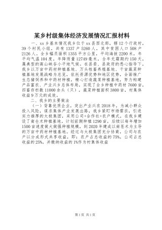 某乡村级集体经济发展情况汇报材料
