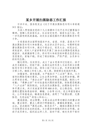 某乡开展扫黑除恶工作汇报