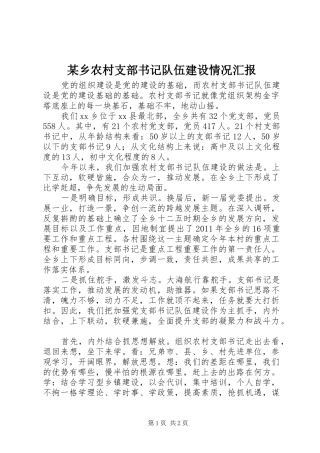 某乡农村支部书记队伍建设情况汇报