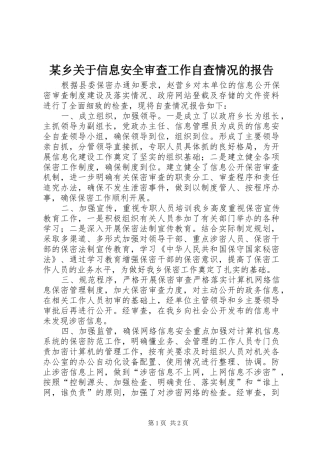 某乡关于信息安全审查工作自查情况的报告