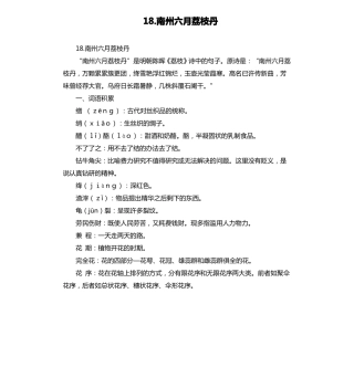 18南州六月荔枝丹