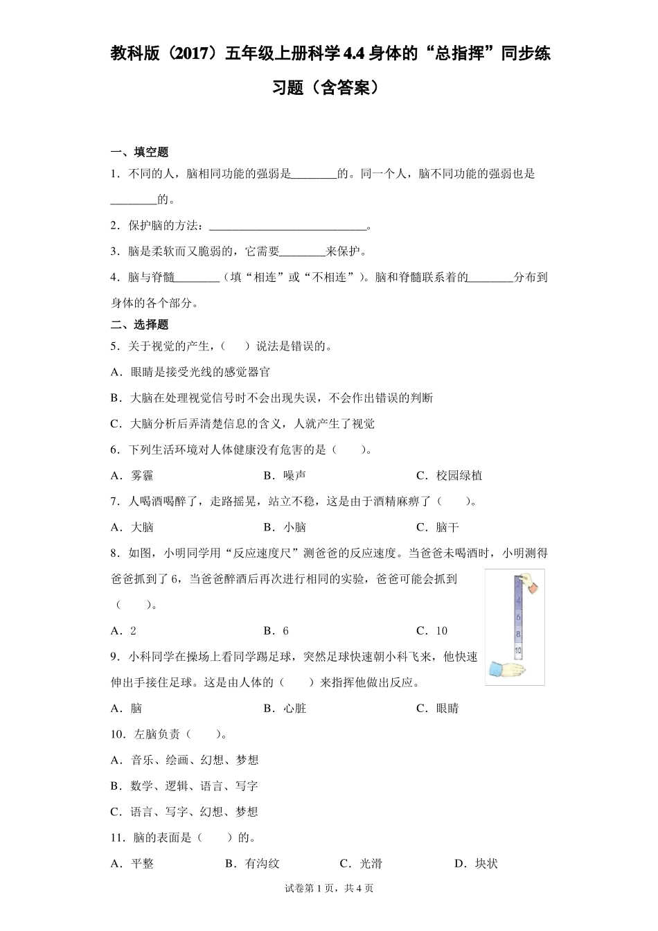 教科版2017五年级上册科学身体的总指挥同步练习题含答案_第1页