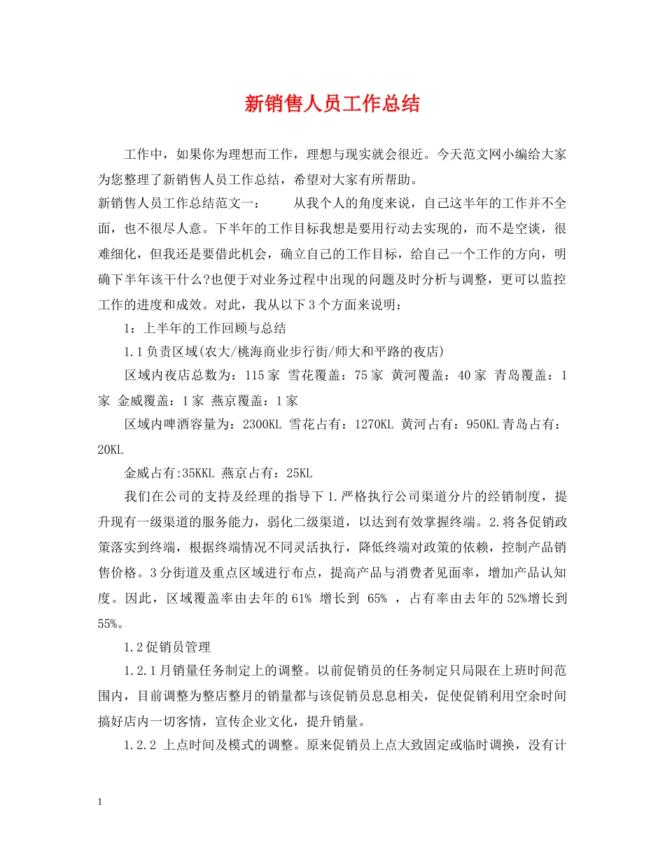 新销售人员工作总结 _第1页