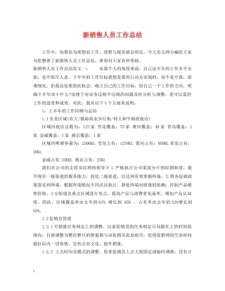 新销售人员工作总结 