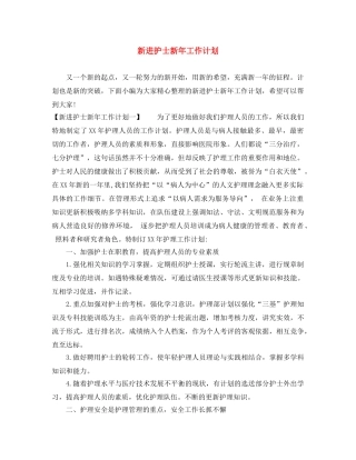 新进护士新年工作计划 