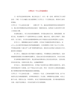 大学生大一个人工作总结范文