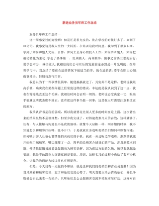 新进业务员年终工作总结 