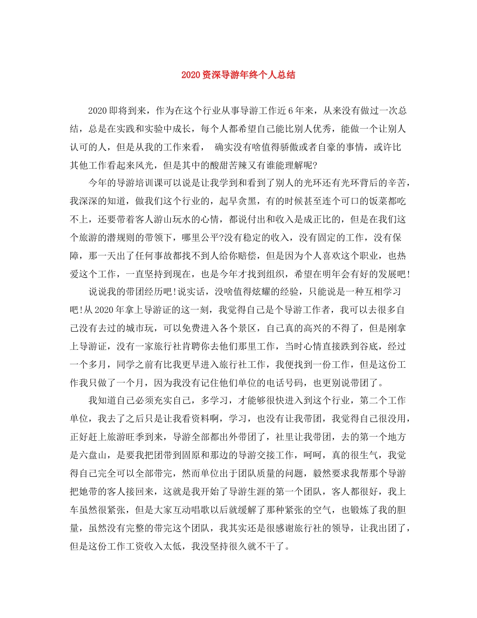 资深导游年终个人总结_第1页