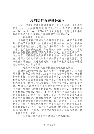权利运行自查报告范文