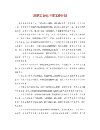 新职工20XX年度工作计划 