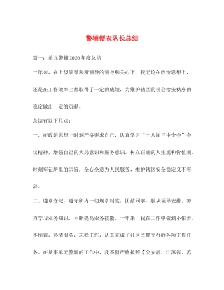 警辅便衣队长总结