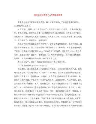 公司业务员个人年终总结范文