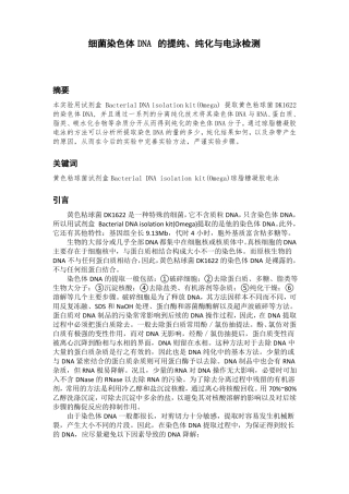 细菌染色体DNA的提纯与纯化