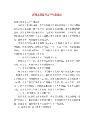 新班主任指导工作年度总结 