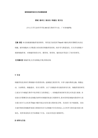植物细胞骨架光学显微镜观察