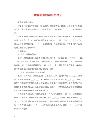 新春促销活动总结范文 
