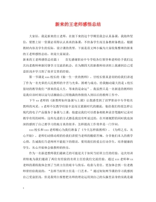 新来的王老师感悟总结 