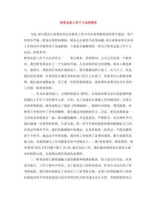 财务总监工作个人总结报告