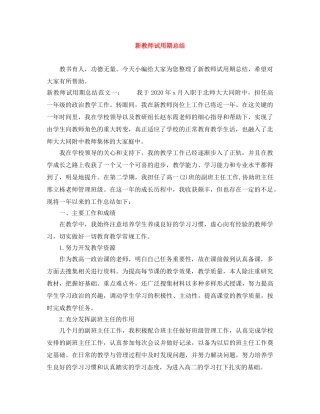 新教师试用期总结 