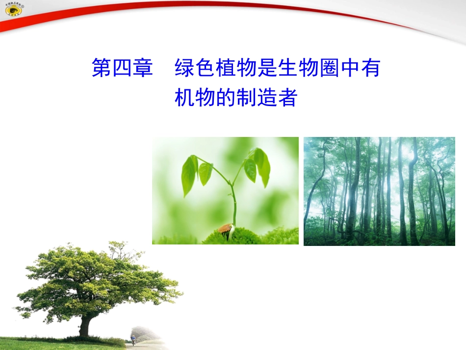 第四章绿色植物是生物圈中有机物的制造者_第1页