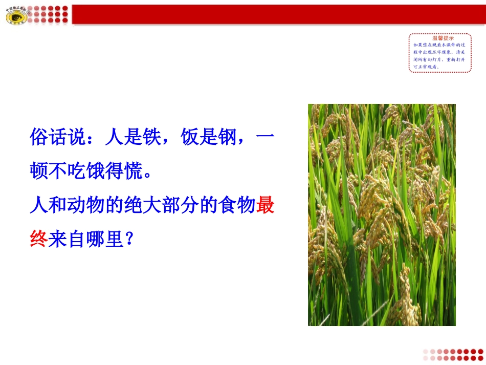 第四章绿色植物是生物圈中有机物的制造者_第2页