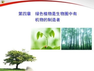 第四章绿色植物是生物圈中有机物的制造者