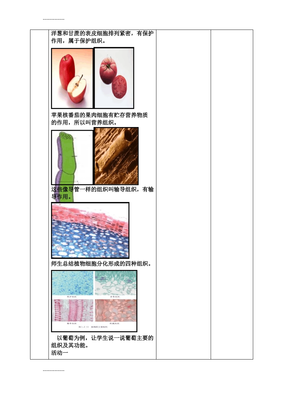 整理初中生物七年级上册细胞的分裂和分化教学设计_第3页