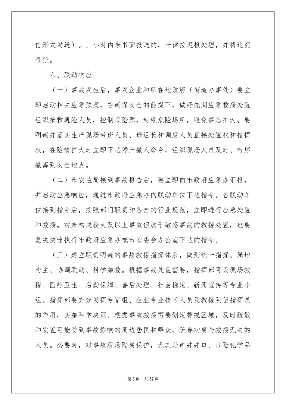 春节期间应急预案_第3页