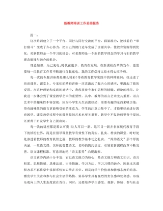 新教师培训工作总结报告 