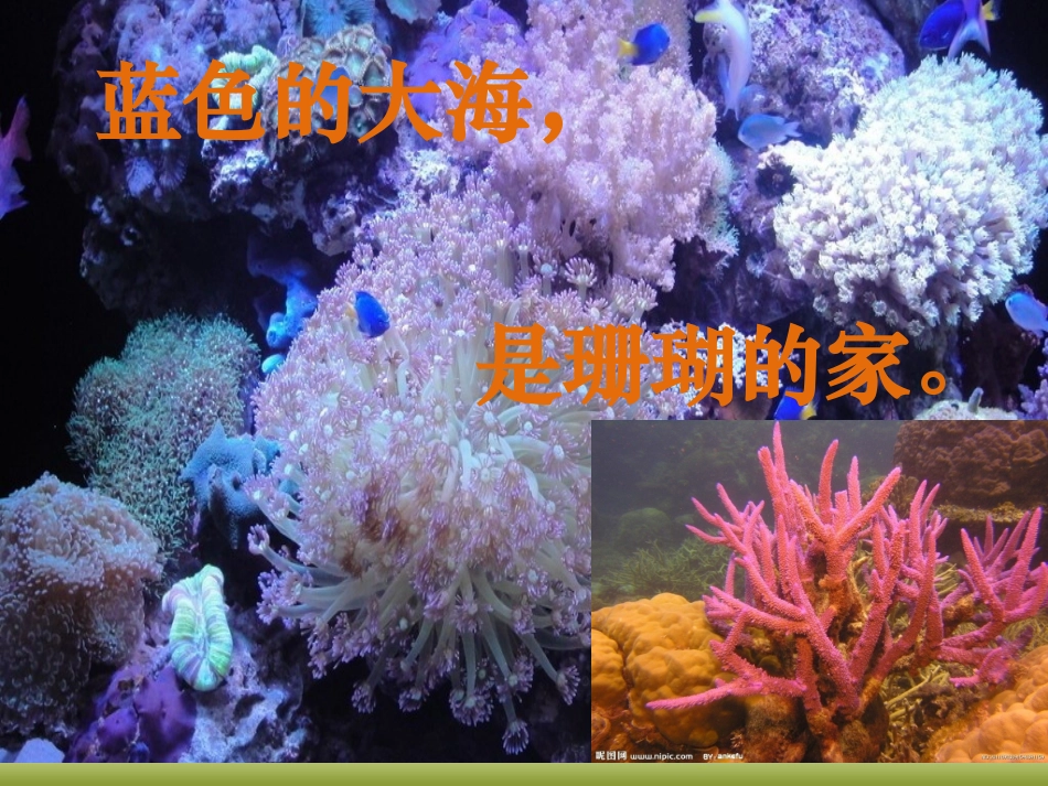 中班语言诗歌《家》_第2页