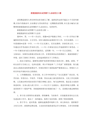 新提拔副局长试用期个人总结范文3篇 