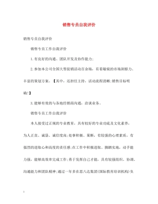 销售专员自我评价
