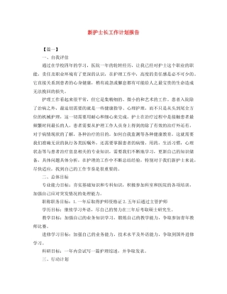新护士长工作计划报告 