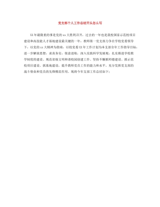 党支部个人工作总结开头怎么写