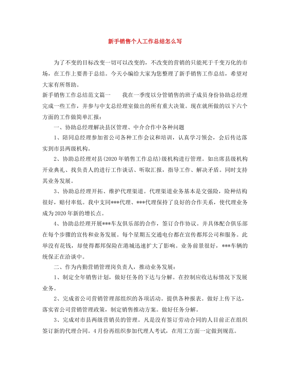 新手销售个人工作总结怎么写 _第1页